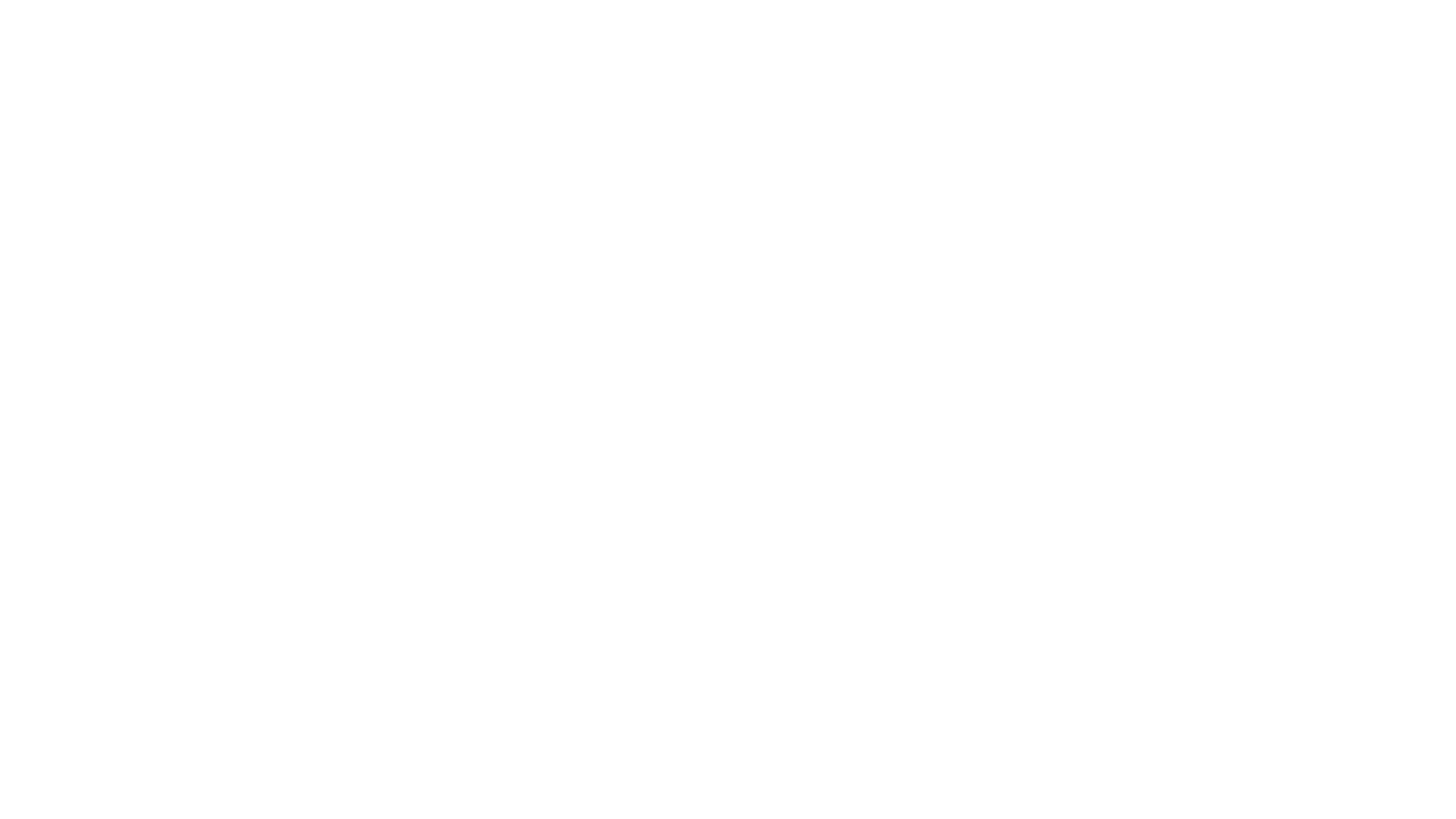 The Underdogs